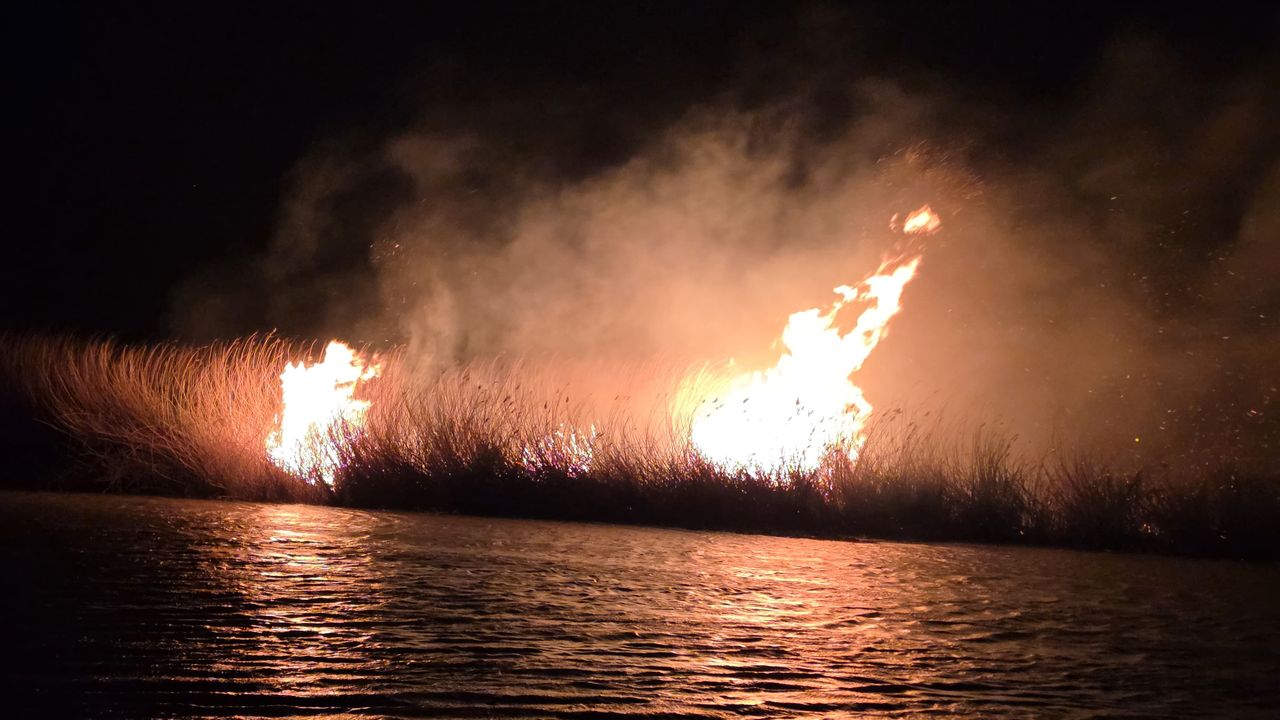 Kuş Cennetinde Yangın