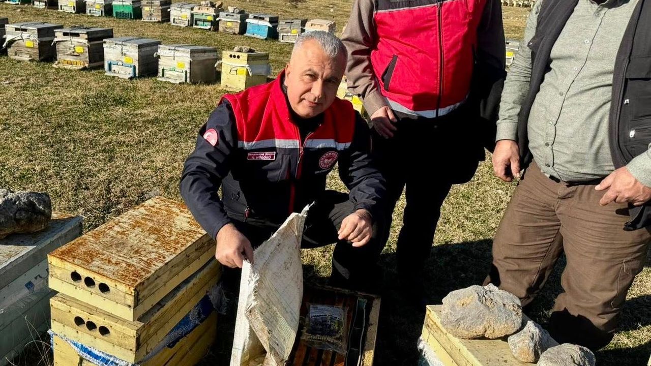 Türkmen Arı Üreticilerinin Kovanlarını İnceledi