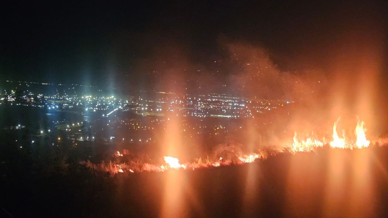 İskenderun’da Orman Örtüsü Yangını Korkuttu