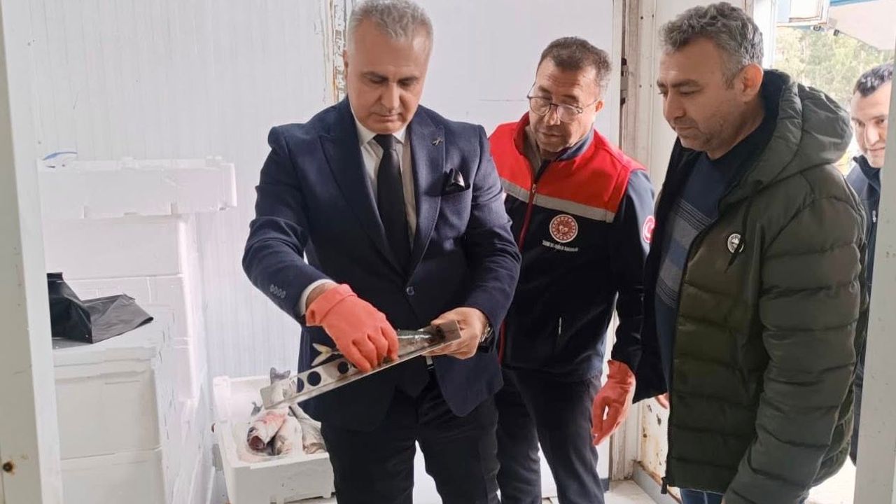 Balıkların Boyunu Ölçtü