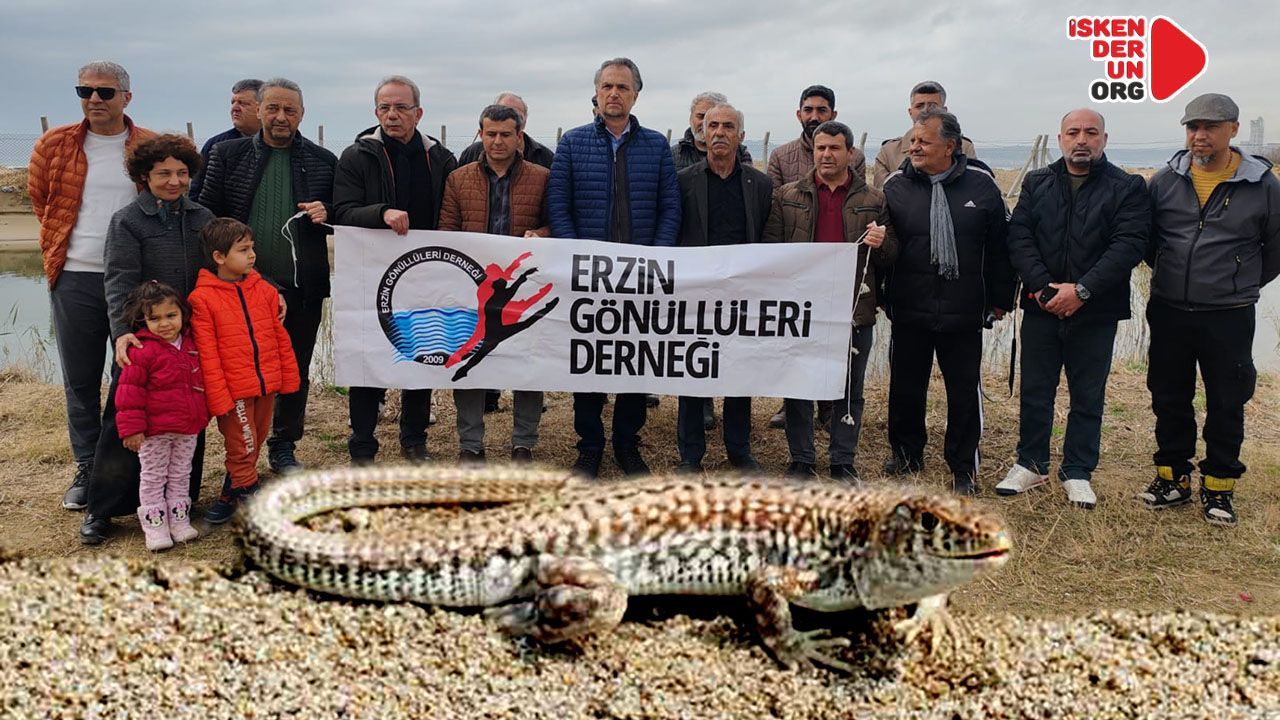 Çevrecilerden ‘İskenderun Kertenkelesi’ için güç birliği…