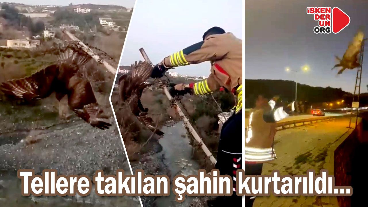 Özgürlüğe Kanat Çırptı