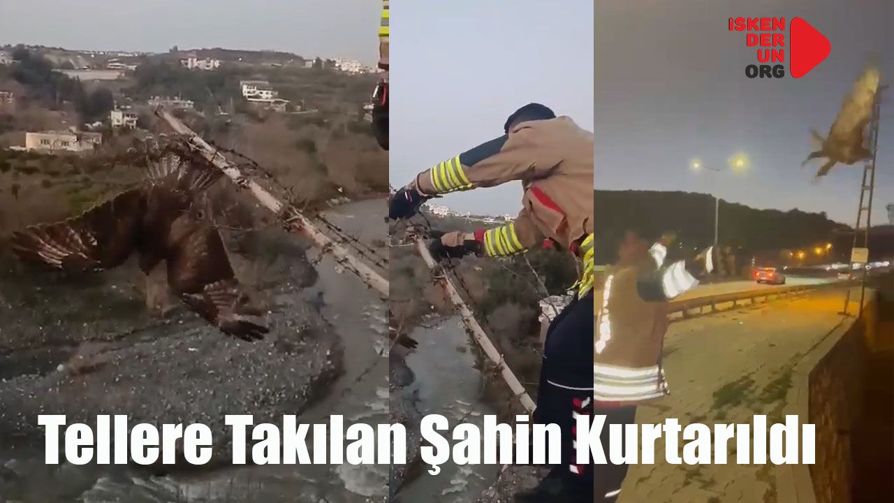 Özgürlüğe Kanat Çırptı