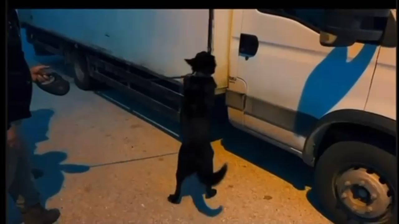 Süpheli Araçtan 11 Kilo Çıktı