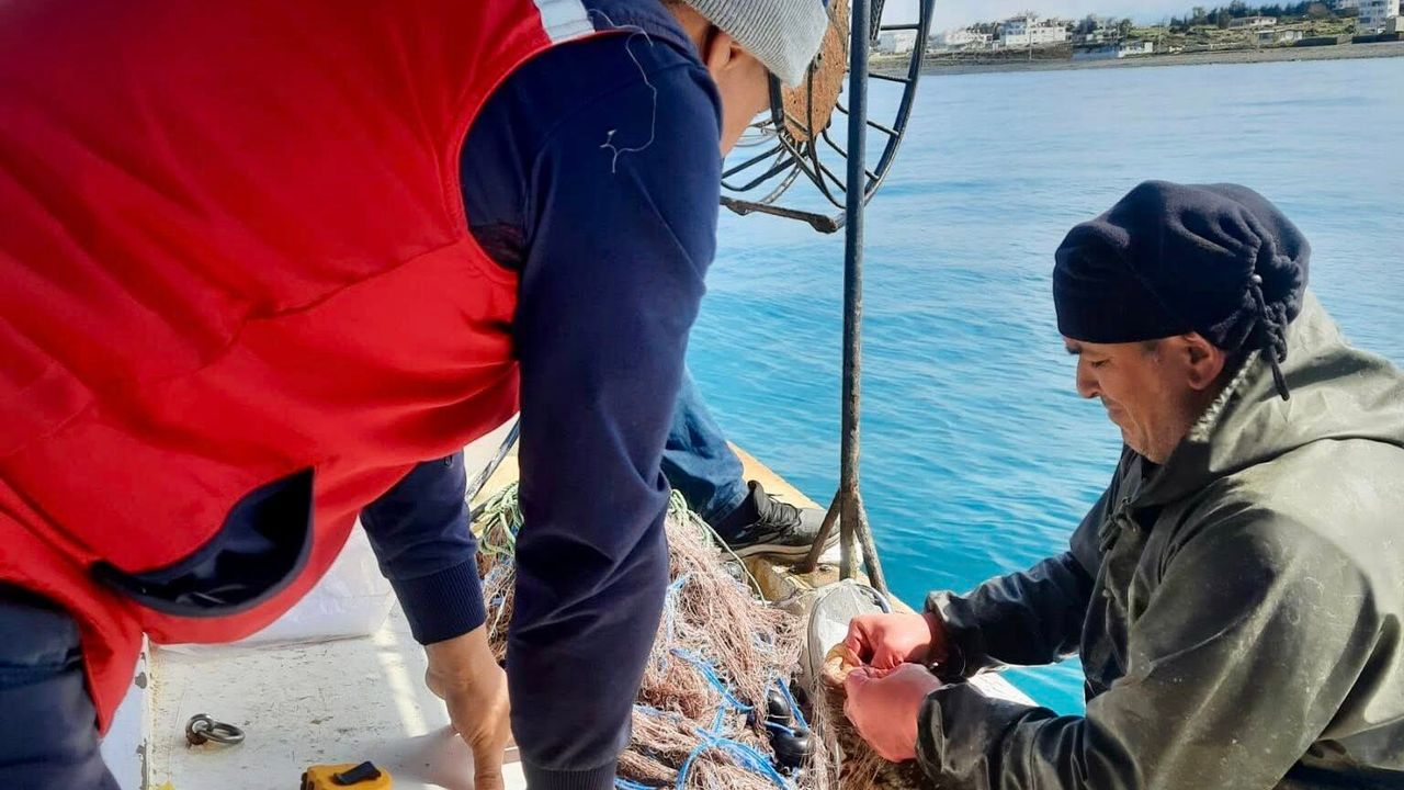 Denizde İstilacı Türler Araştırılıyor