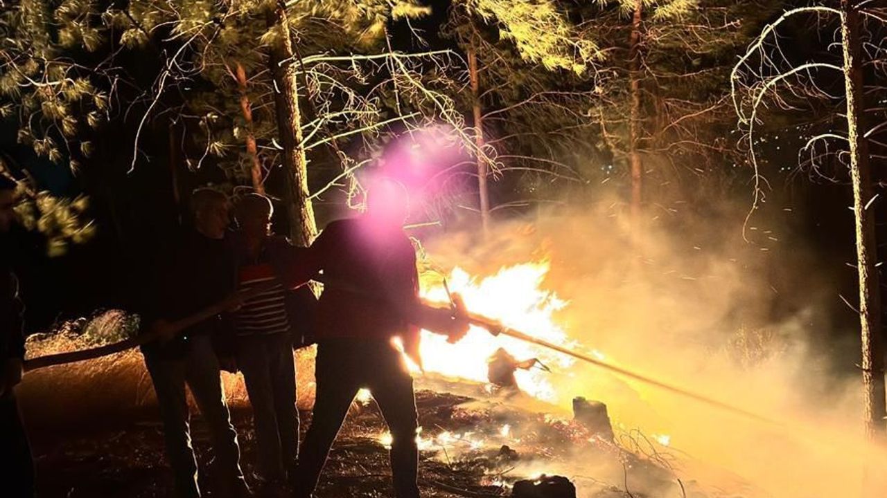 Dörtyol da Orman Yangını