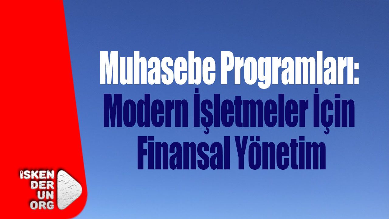 Muhasebe Programları: Modern İşletmeler İçin Finansal Yönetim