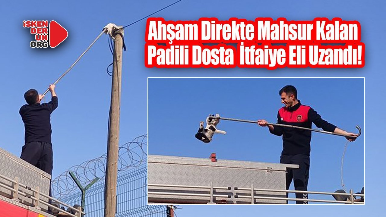 Direkte Mahsur Kalan Kedi İtfaiye Eli Uzandı!