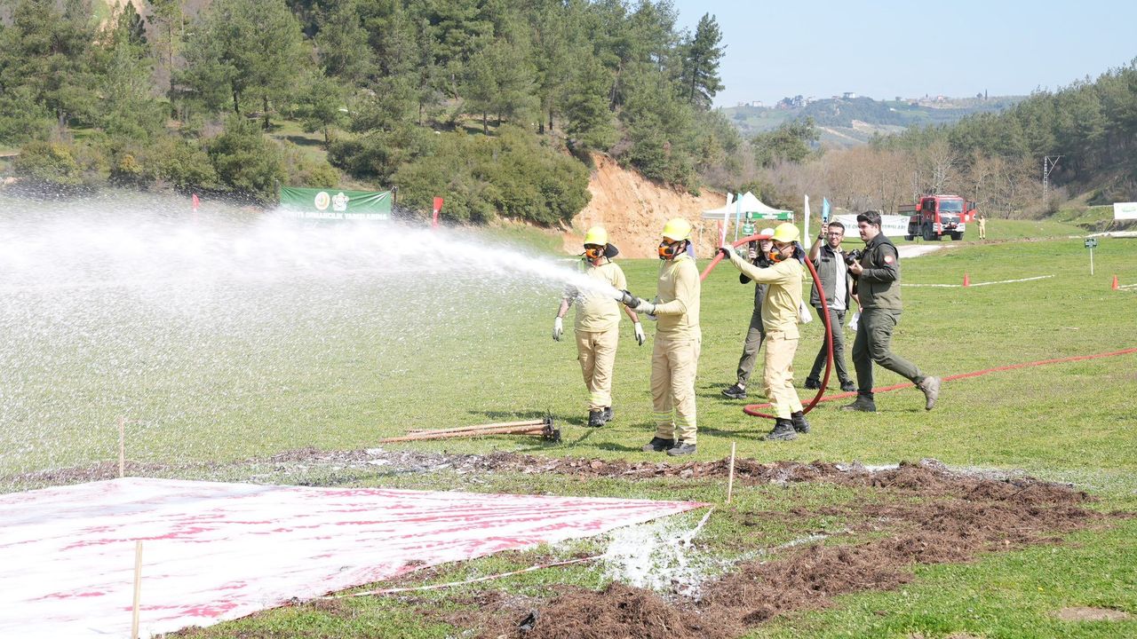 Ormancılık Yarışmaları heyecanı sürüyor…