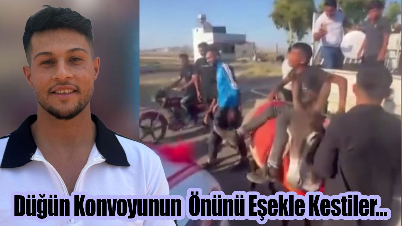 Düğün Konvoyunun Önünü Eşekle Kestiler…
