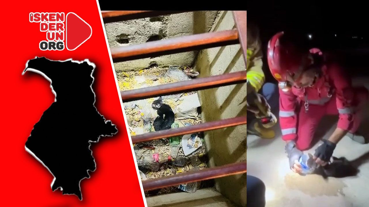 Mazgaldaki Kediyi İtfaiye Kurtardı