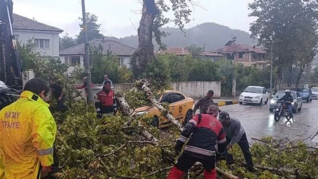 Yayladağı’nda Şiddetli Yağış ve Rüzgâr Etkisi…