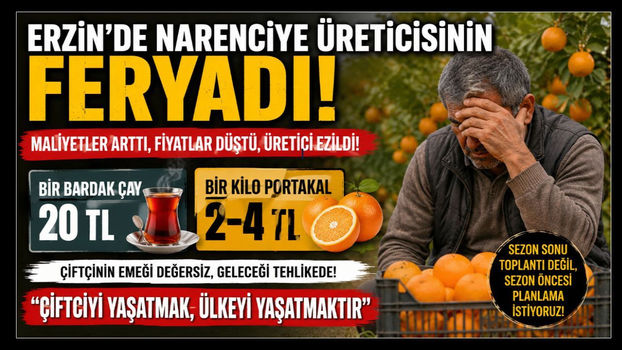 Erzin’de Narenciye Üreticisinin İsyanı…