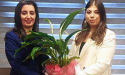 CHP Kocaeli'de kadınlar 'Tüysüz'e emanet