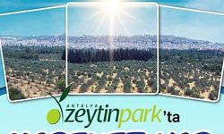 Zeytinpark'ta Hareket Var!