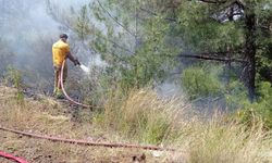 Arsuz Haymaseki’deki orman yangınına havadan müdahale…