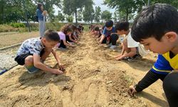 Efes Selçuklu çocuklar fideleri toprakla buluşturuyor