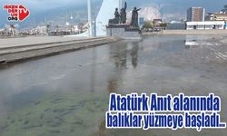 Atatürk Anıt alanında balıklar yüzmeye başladı…