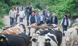 Bergama’da yayla yolculuğu başladı