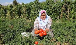 Yamanlar yılın en renkli şenliğine hazır!