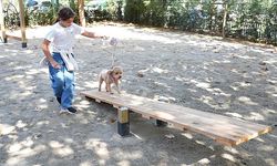 Hayvanları Koruma Günü'nde Kadıköy'de "Pati Park" Açıldı