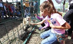 Hayvanları Koruma Gününe Renkli Kutlama