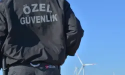 En çok personel 'özel güvenlik'te istihdam edildi