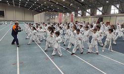 Osmangazi’de karate eğitim semineri