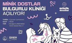 Üsküdar’da Minik Dostlar Bulgurlu Kliniği Açılıyor