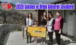 LÖSEV Çocuklara Desteğini Sürdürecek