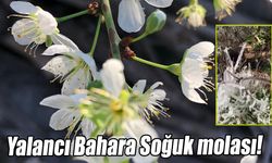 Hava sıcaklığı 30 dereceden 9 dereceye düştü…