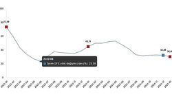 Tarımsal Girdi Fiyat Endeksi, Ocak 2025