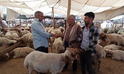 İskenderun’da Kurban Pazarı Kuruldu…