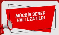 Kasım 2025 e Kadar