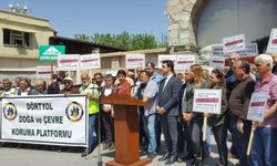 Erzinliler burnaz sahili için birlik oldu…