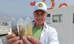 Akdeniz’e sürüklenen çöpler ve canlılara bilimsel takip