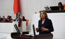 Kara: “342 Bin Hektar Orman Madenciliğe Tahsis Edildi”
