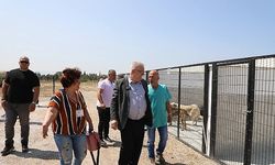  Edremit Belediyesi can dostlara sahip çıkıyor