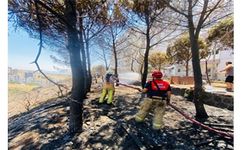 İzmir İtfaiyesi 48 saatte 227 yangına müdahale etti