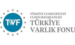 Kamu Sigorta ve Emeklilik Şirketlerinin Satın Alma ve Birleşme Süreci Tamamlandı