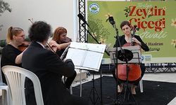 Tirilye’de zeytinin çiçeği açtı, festival sokakları sardı