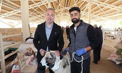 Yeni Kurban Pazarı Alıcının da Satıcının da Yüzünü Güldürdü...