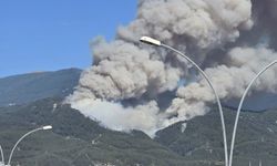 Dörtyol’da Orman Yangını Büyüyor…