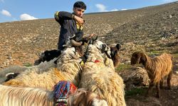 Hatay’da Asırlık “Miryah” Geleneği…