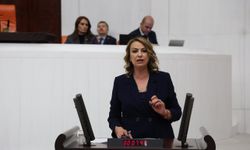 Kara, Kirleticiler ve Yerinde Dönüşüm Süre Uzatımını Sordu