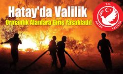 Hatay'da Ormanlık Alanlara Giriş Yasaklandı