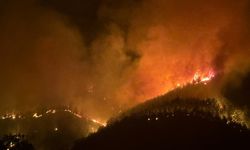 Hassa’daki Orman Yangınına Müdahale Sürüyor
