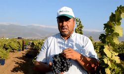 Hassa Üreticisinin Emek Mücadelesi…