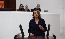 Hassa Tüneli Hafriyatları Deniz Kenarına Mı Dökülecek?