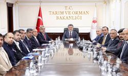 Narenciye Üreticisinin Sorunları Bakanlık Gündeminde